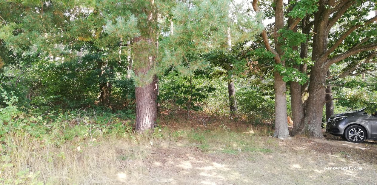 (97286) Sommerhausen - Zu den Aussiedlerhöfen — foto 2