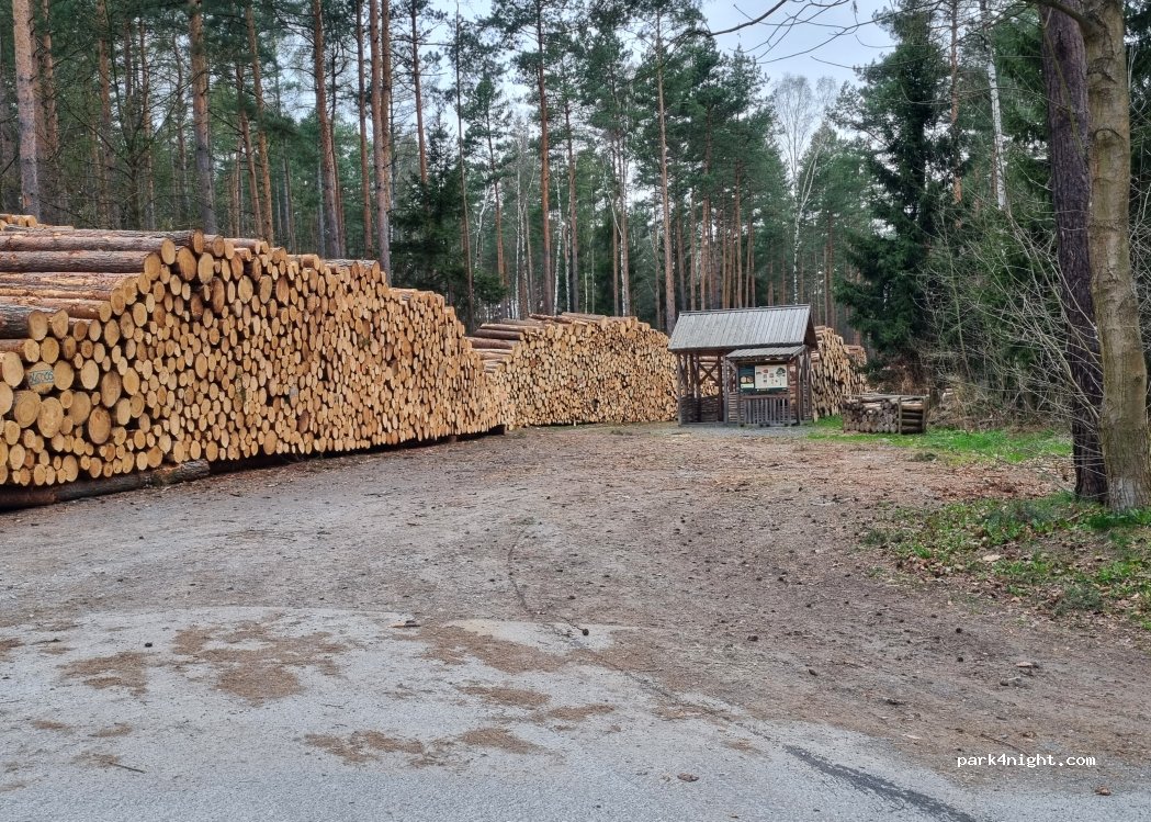 (01814) Reinhardtsdorf-Schöna - 113 Marktweg — foto 5