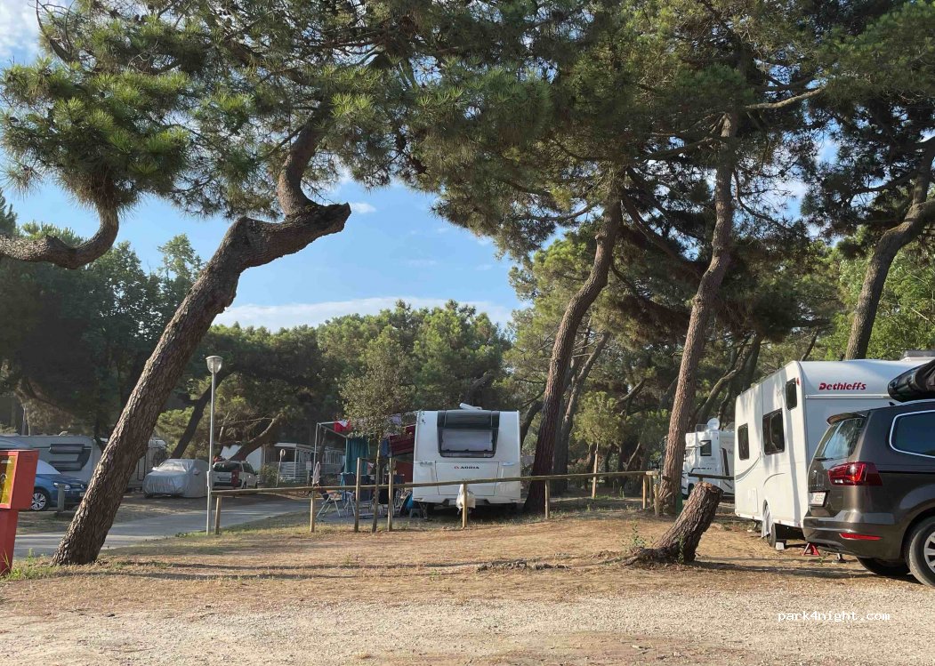 Camping Mare e Pineta & Marina Village — foto