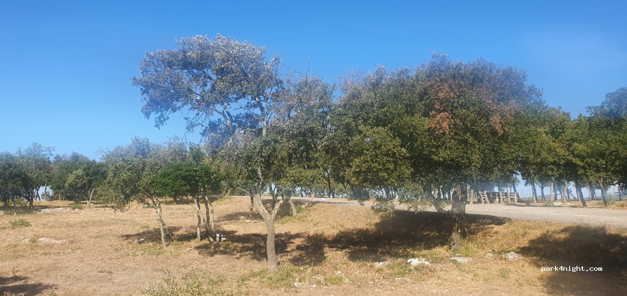(30650) Rochefort-du-Gard - Chemin de Belly — foto 4
