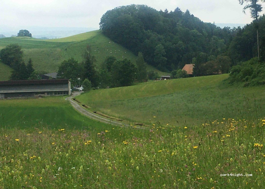 (3098) Köniz - 62 Plattenweg — foto