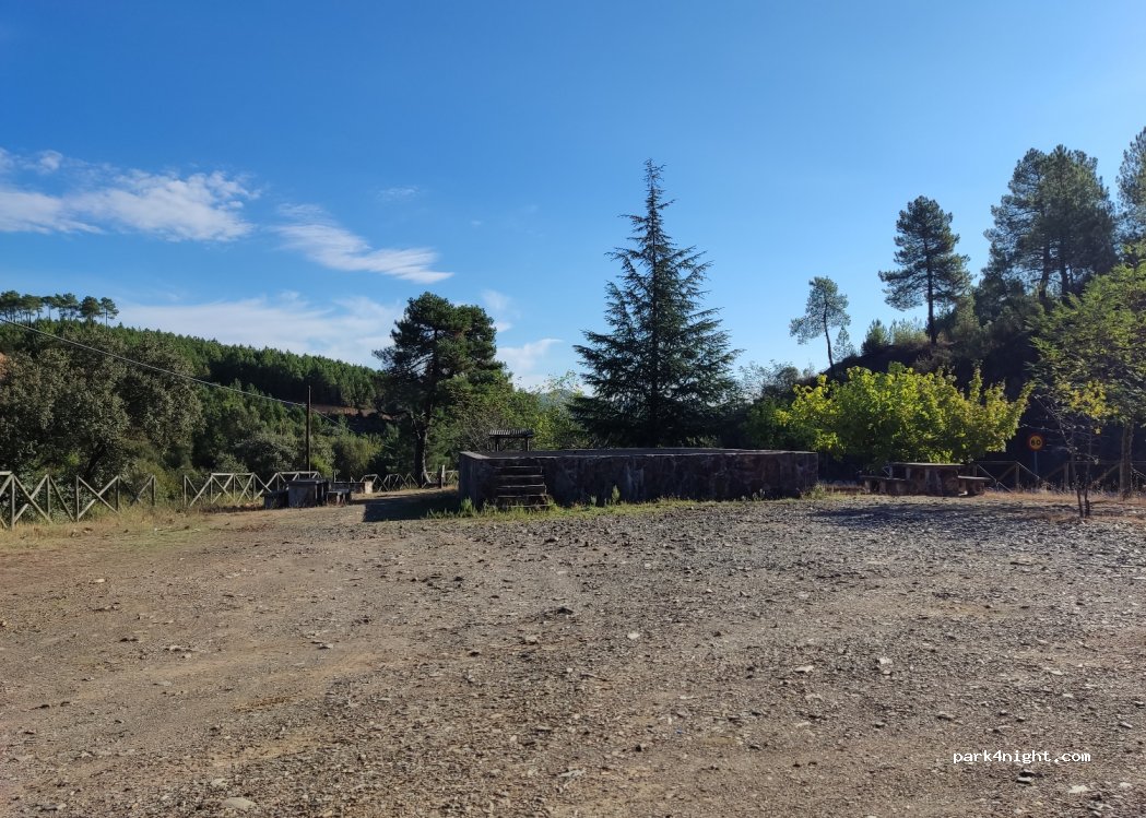 (10630) Pinofranqueado - EX-204 — foto