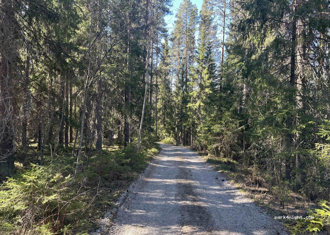 (42600) Multia - 1147 Väätäiskyläntie — foto 4