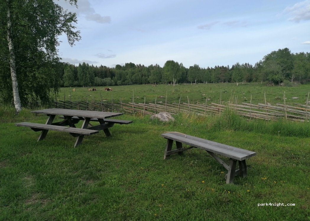 (819 64) Lonno - 101 LINGNÅRE — foto 2