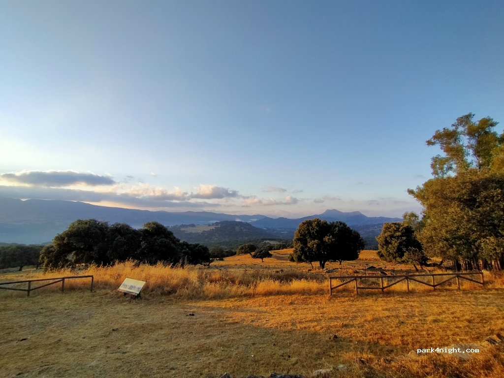 (29380) Cortes de la Frontera - A-373 — foto