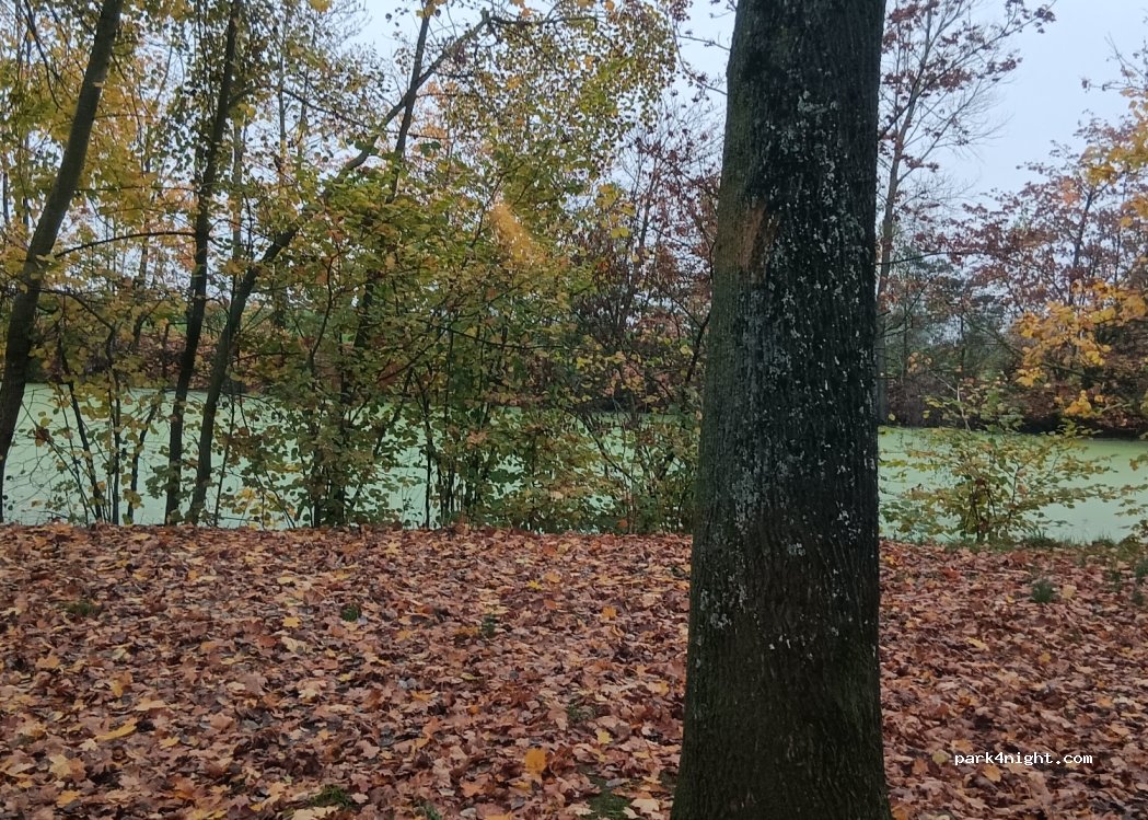 (3650) Dilsen-Stokkem - — foto 5