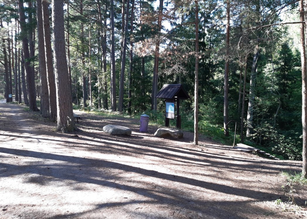 (3264) Rojas pagasts - Unnamed Road — foto 3