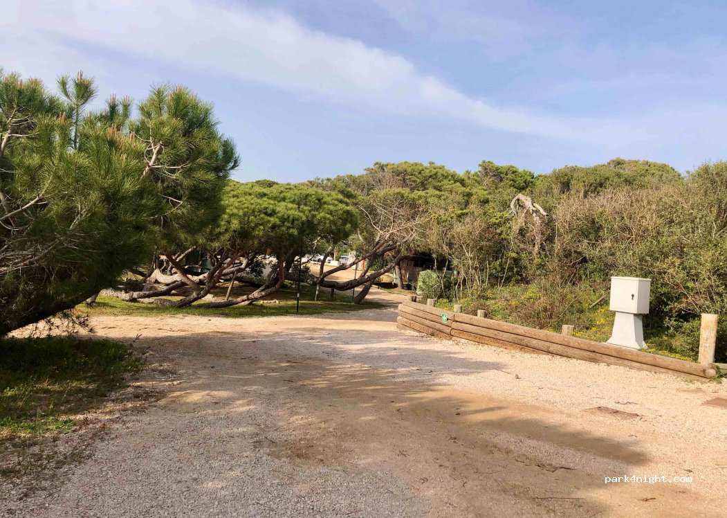 Camping Sabaudia — foto 2