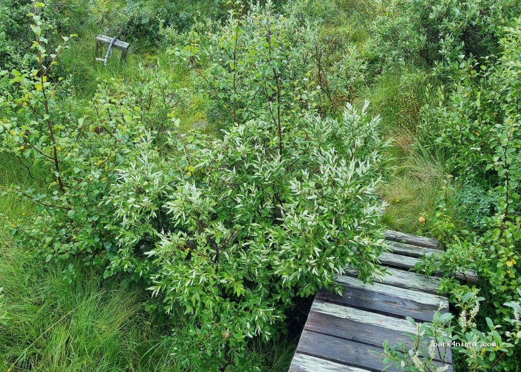 Campingplatz — foto 4