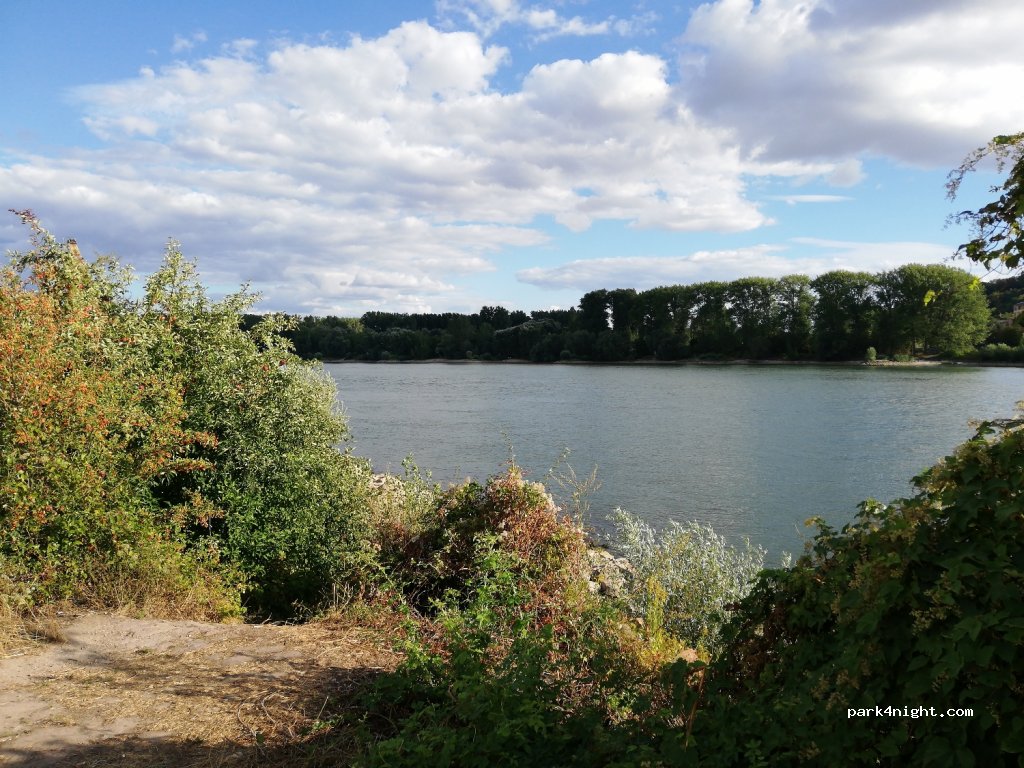 (65468) Trebur - 8 Kornsand — foto