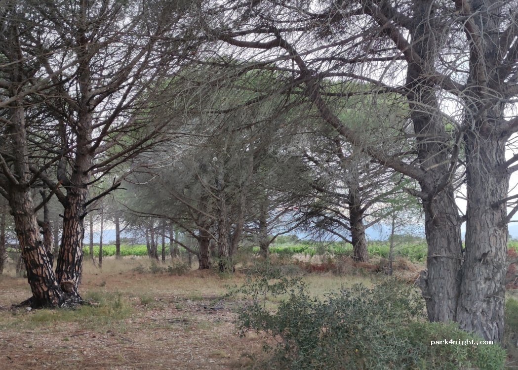 (66600) Peyrestortes - Unnamed Road — foto 3