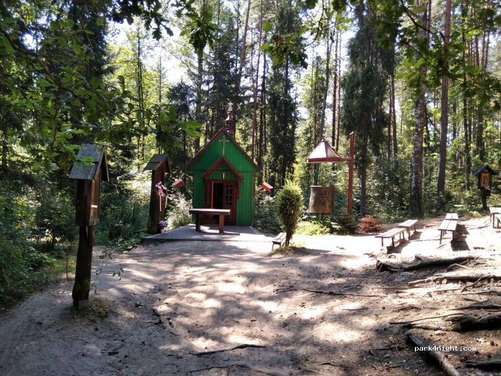 (37) Janów Lubelski - Unnamed Road — foto 2