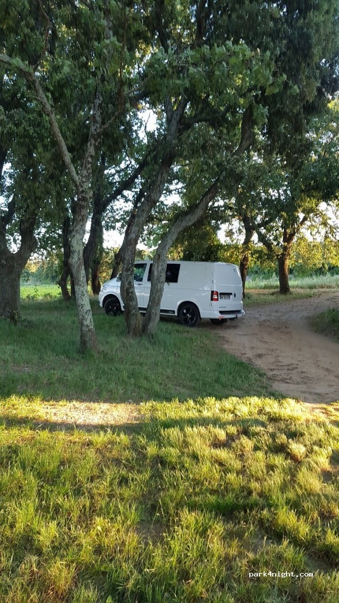 (07700) Saint-Marcel-d'Ardèche - Peyre Fiche — foto
