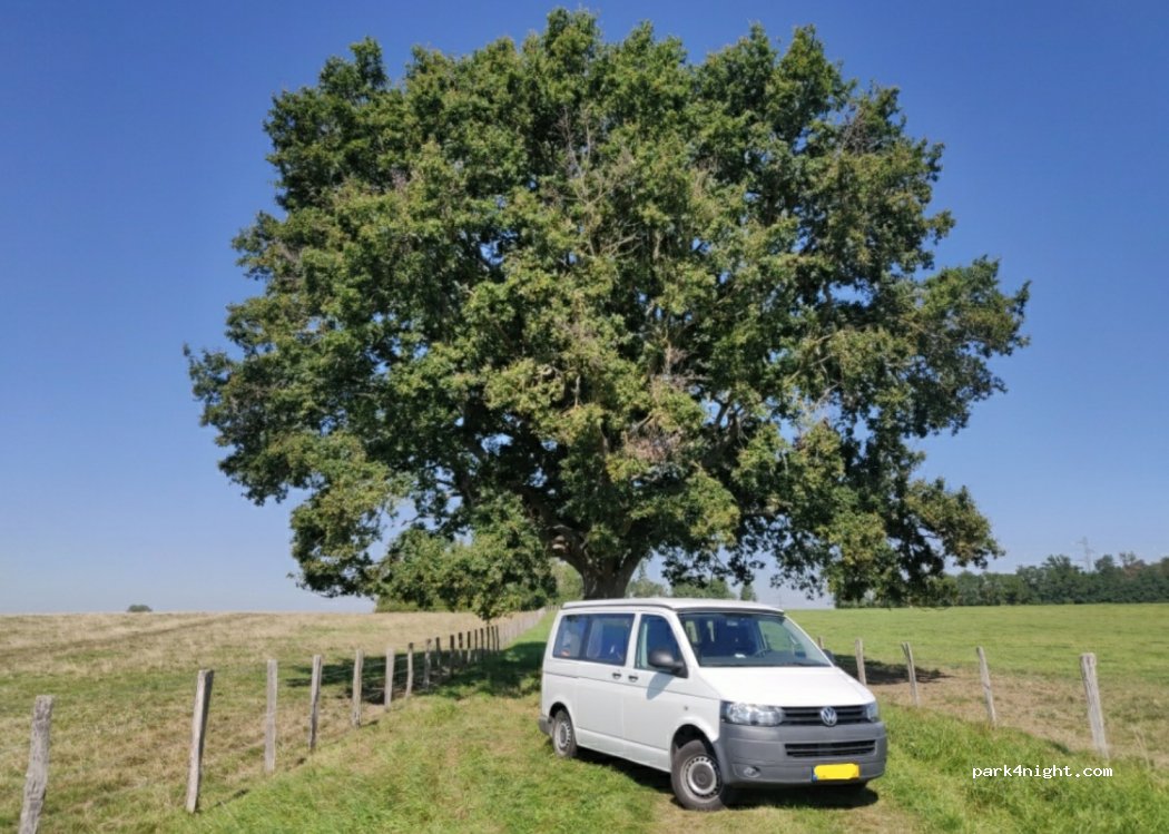 (10270) Montiéramey - Chemin Rural dit Voie de l'Ormereau — foto