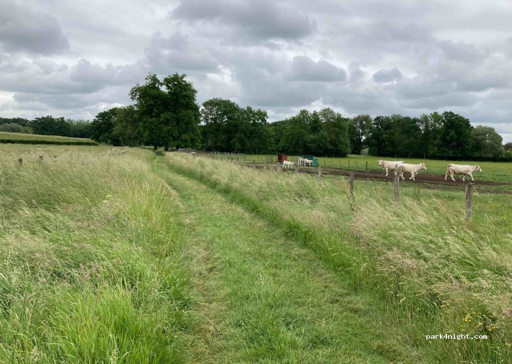 (10270) Montiéramey - Chemin Rural dit Voie de l'Ormereau — foto 2