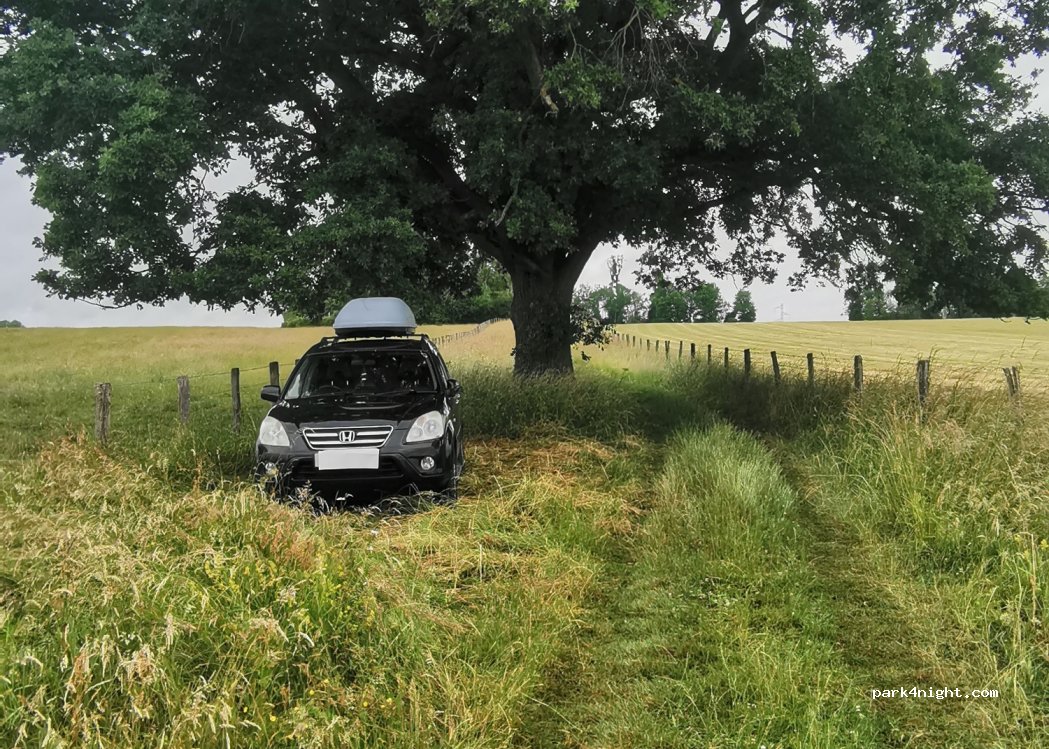 (10270) Montiéramey - Chemin Rural dit Voie de l'Ormereau — foto 3