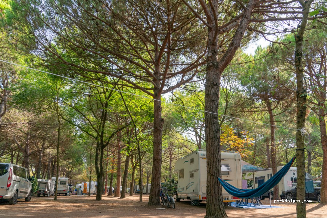 Camping Ca'Savio — foto 2