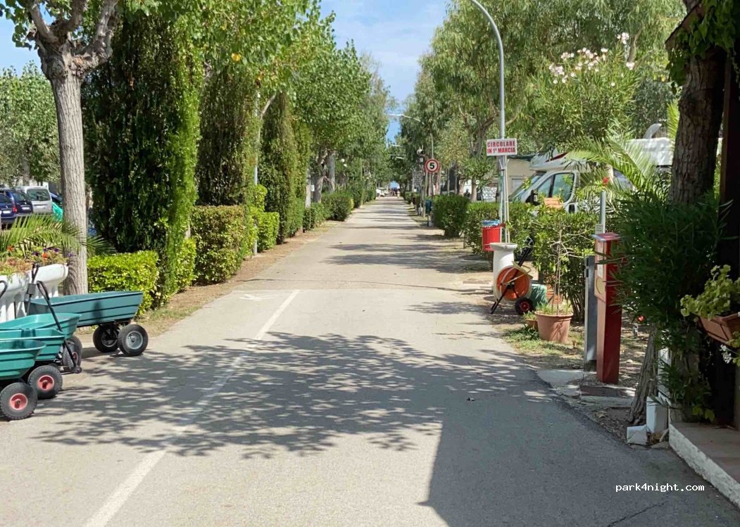 Camping Sabbia d'Oro — foto