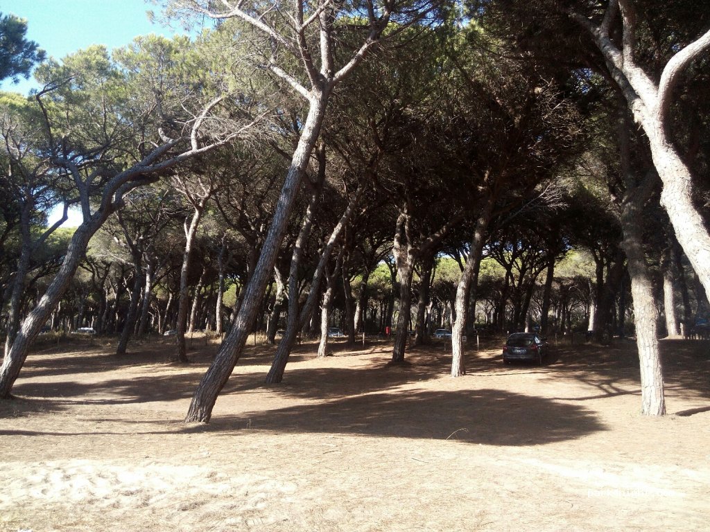 (58100) Marina di Grosseto - 13 Via Serena — foto