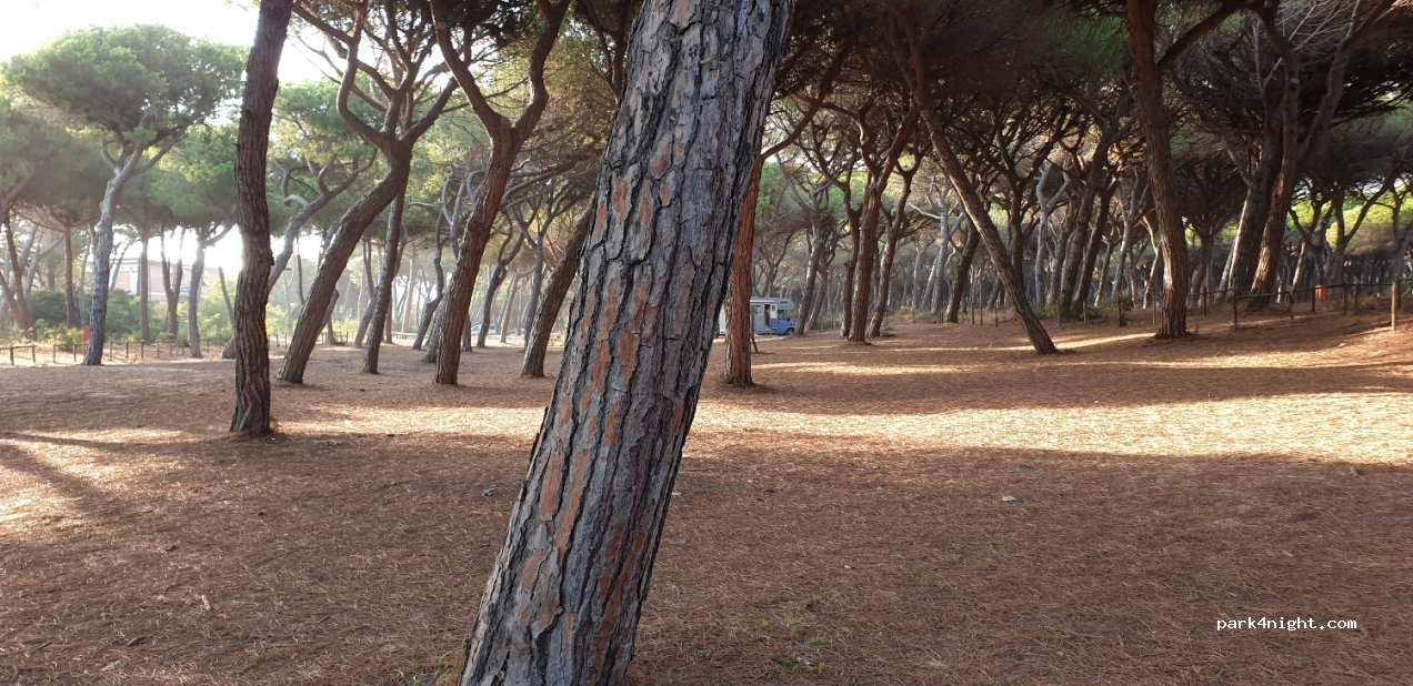 (58100) Marina di Grosseto - 13 Via Serena — foto 2