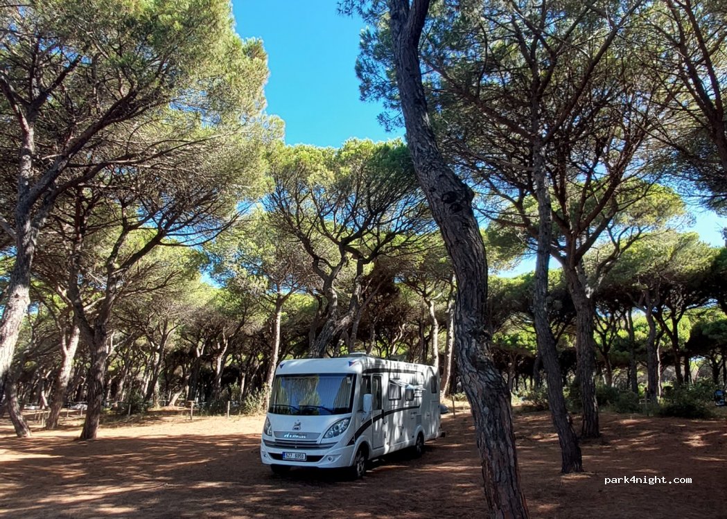 (58100) Marina di Grosseto - 13 Via Serena — foto 3