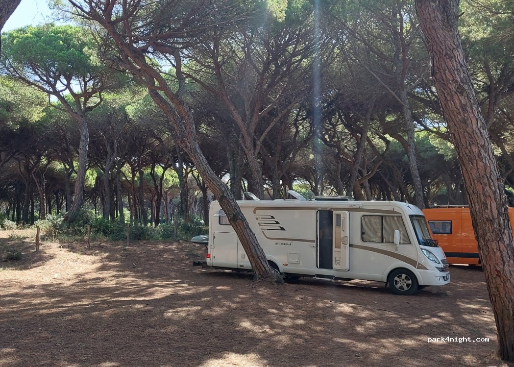(58100) Marina di Grosseto - 13 Via Serena — foto 4