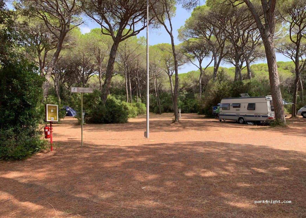 Camping CieloVerde**** — foto 3