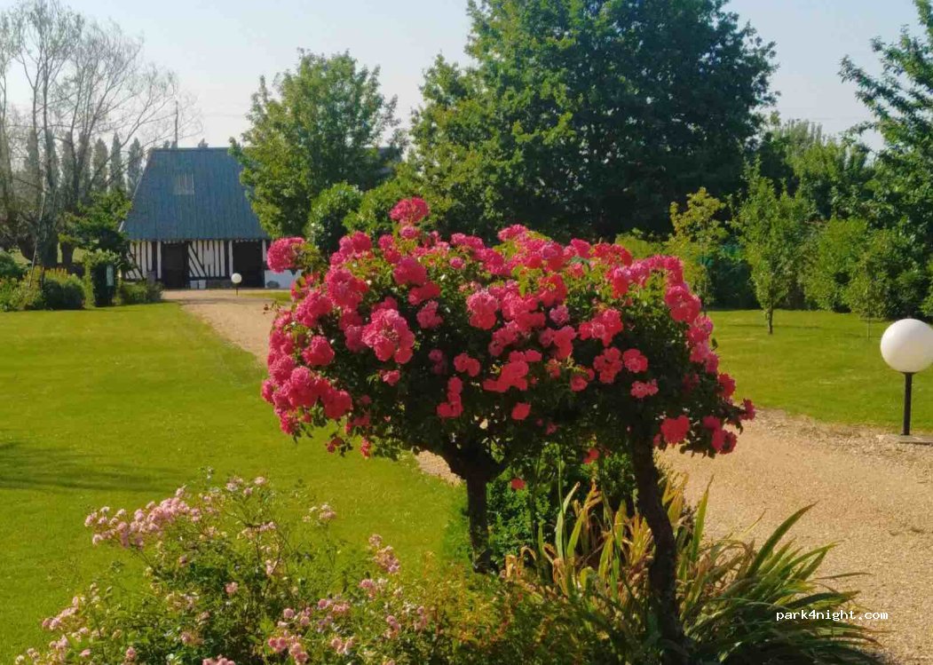(27260) La Chapelle-Bayvel - 1450 route de la maison blanche — foto 4