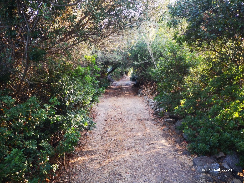 (20110) Belvédère-Campomoro - D121 — foto