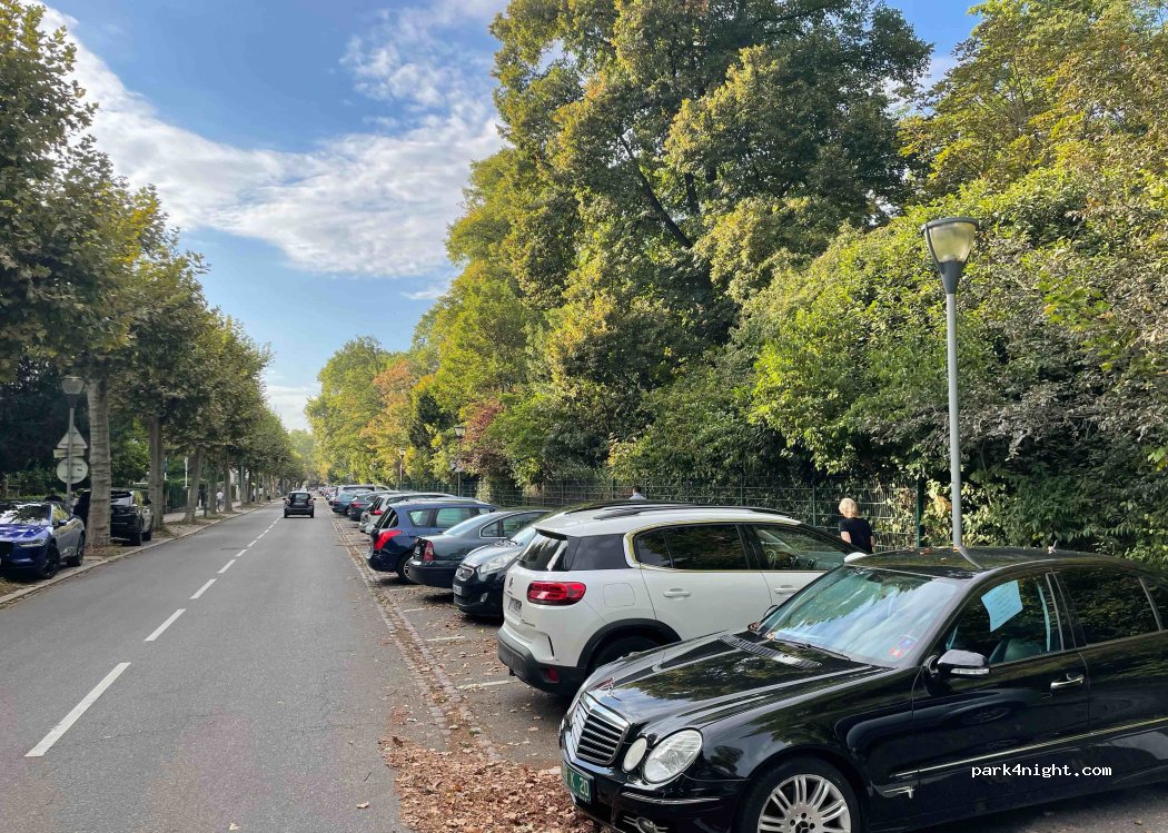 (67000) Strasbourg - 8 Boulevard du Président Edwards — foto 2