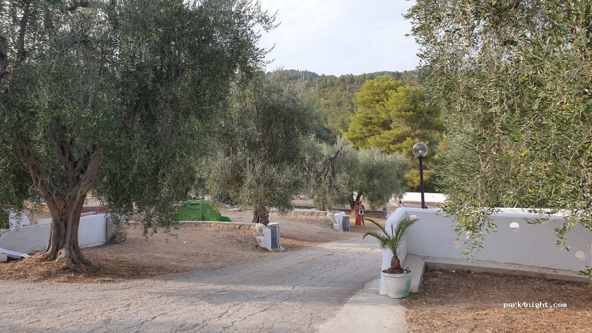 Camping Vignanotica — foto