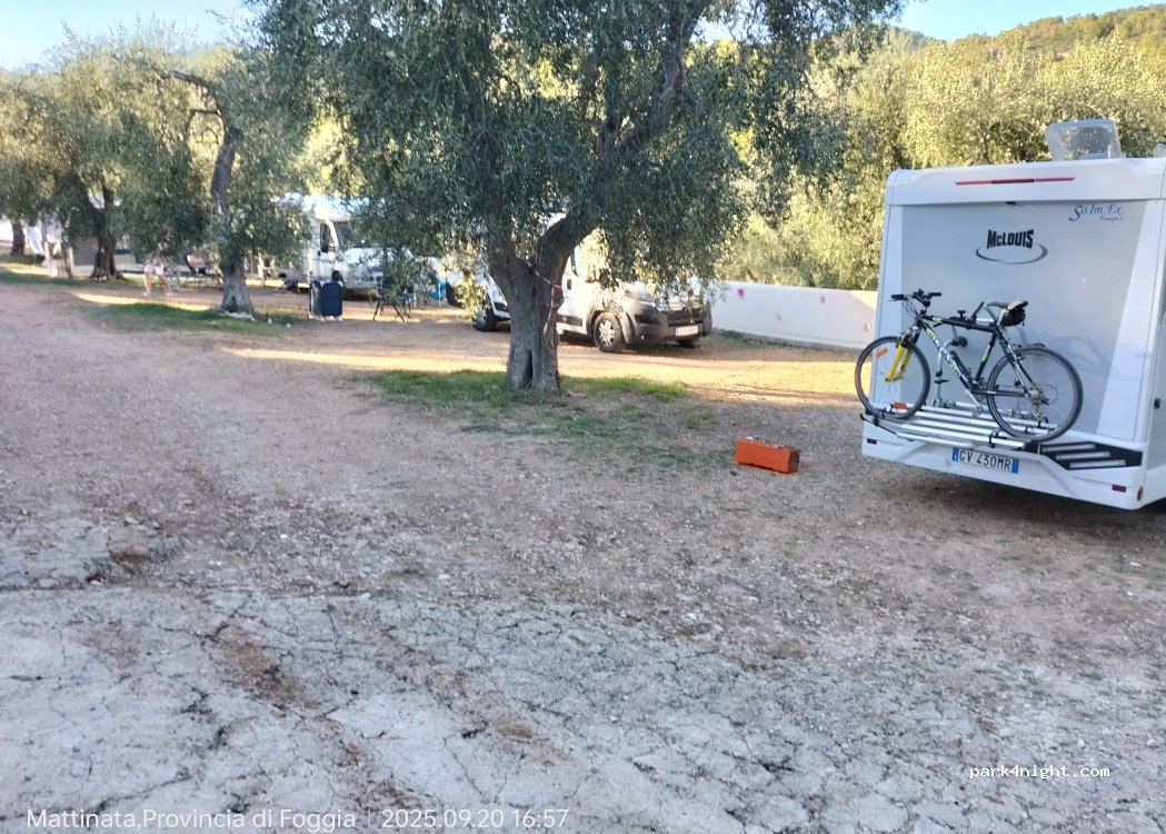 Camping Vignanotica — foto 5