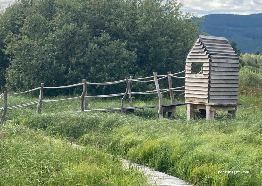 (382 29) Boletice - Olšina — foto 2