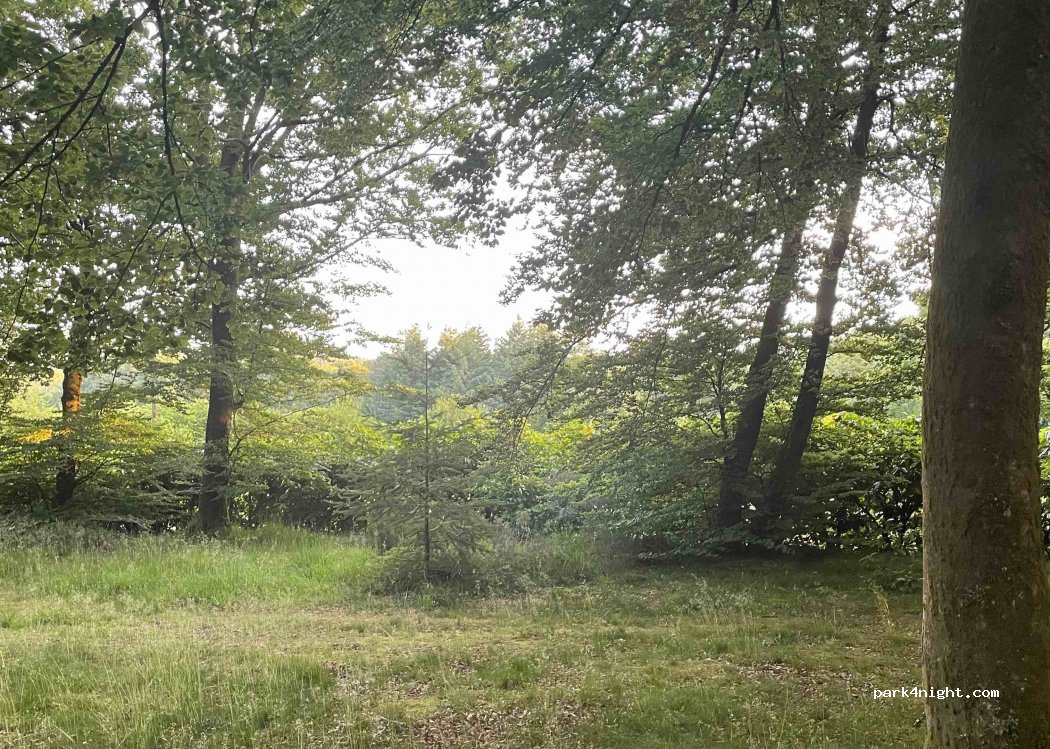 Camping et Hébergements l'Etape-en-Forêt de Saint Sever Calvados — foto 4