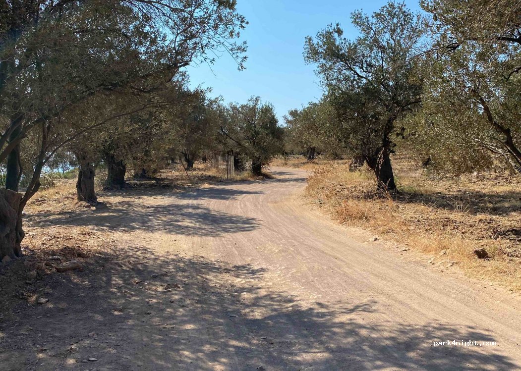 (10405) Ayvalık/Balıkesir - Unnamed Road — foto