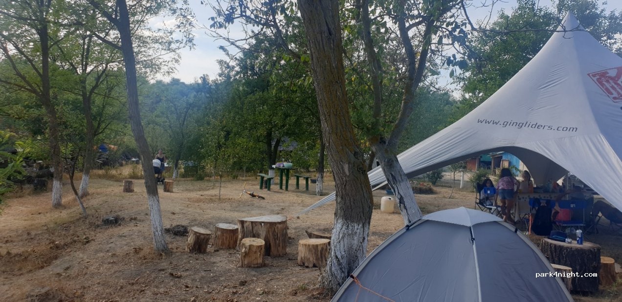 Camping  Prutul de Jos — foto