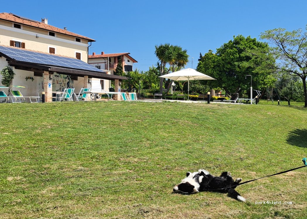 Cantina Rasicci — foto 2