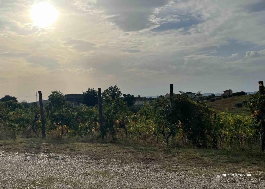 Cantina Rasicci — foto 3