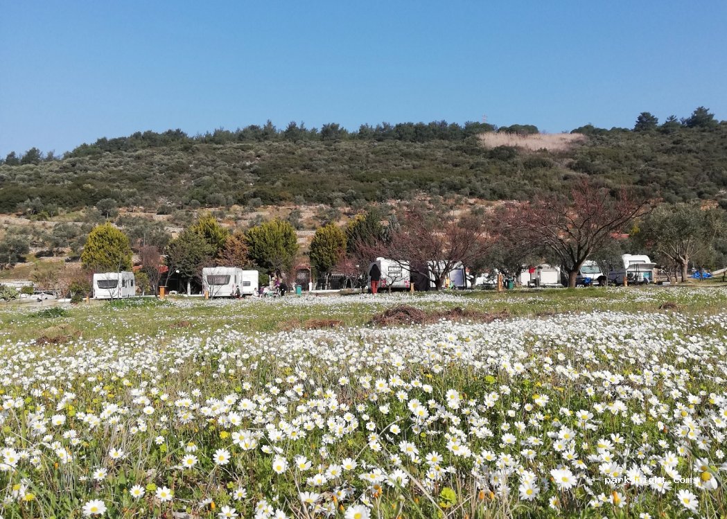 Antique Lodge Camp – Open All Year! — foto 5