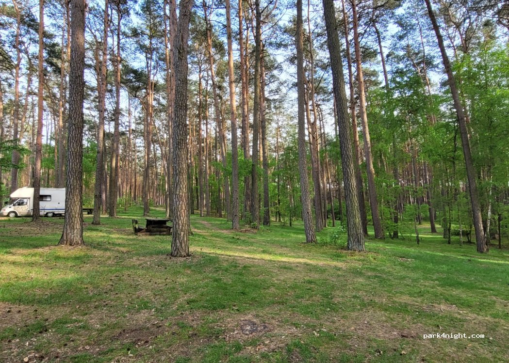 Pole biwakowe Wedromierz — foto 4