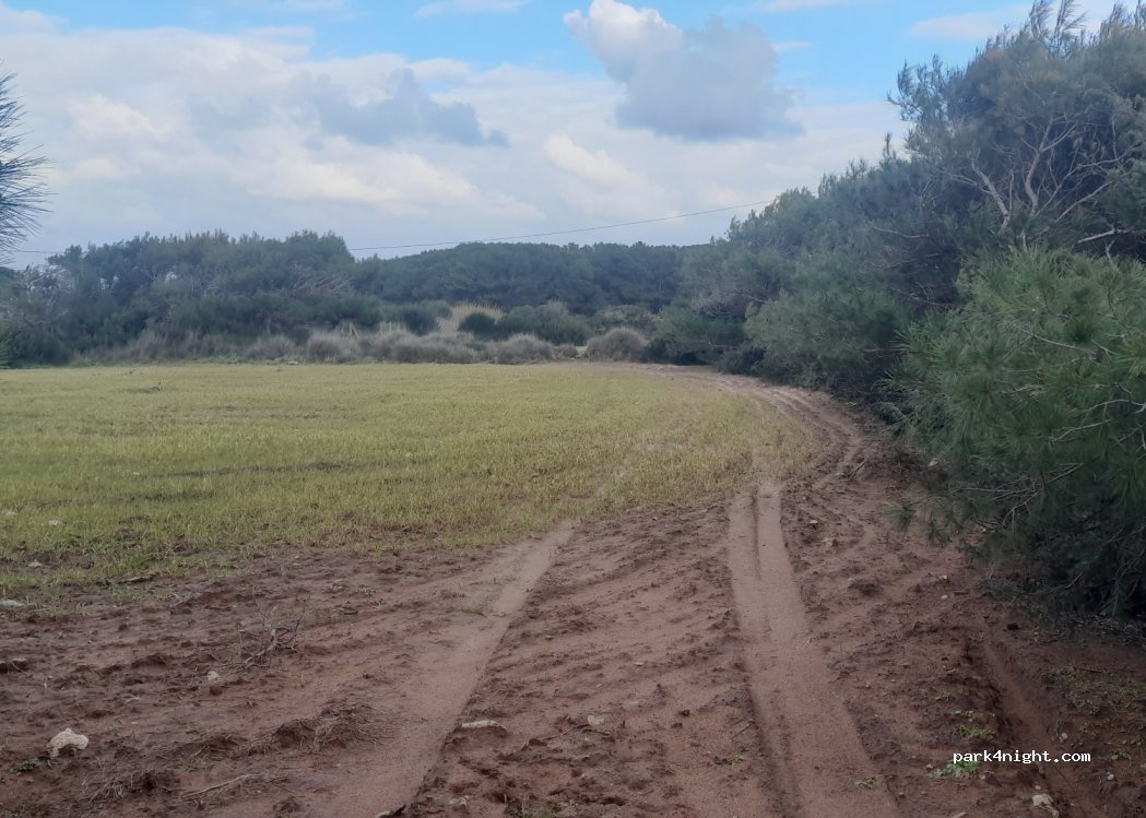 (09011) Calasetta - Unnamed Road — foto 4