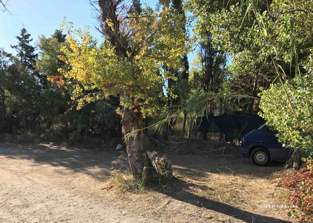 (88065) Guardavalle - Strada Statale 106 Jonica — foto 3