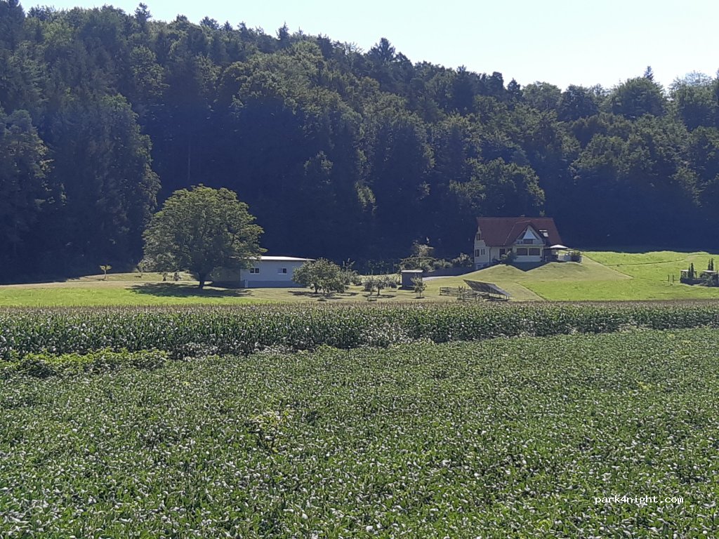 (8430) Leibnitz - Stegweg 1 — foto 3