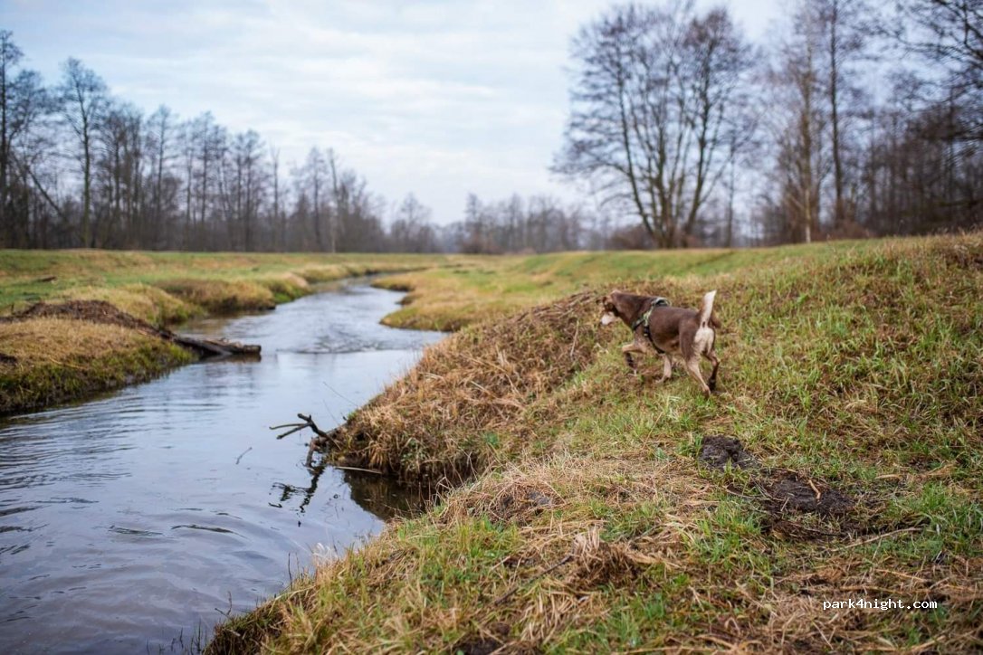 (05-126) Stanisławów Pierwszy - Brukowa — foto 2