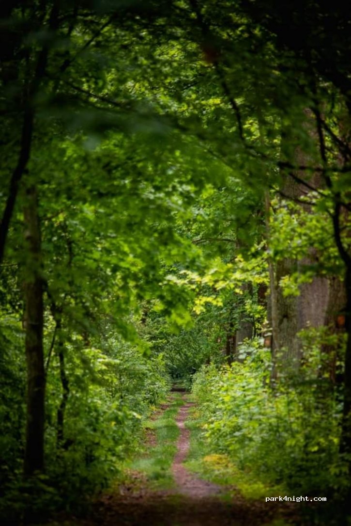 (05-126) Stanisławów Pierwszy - Brukowa — foto 4