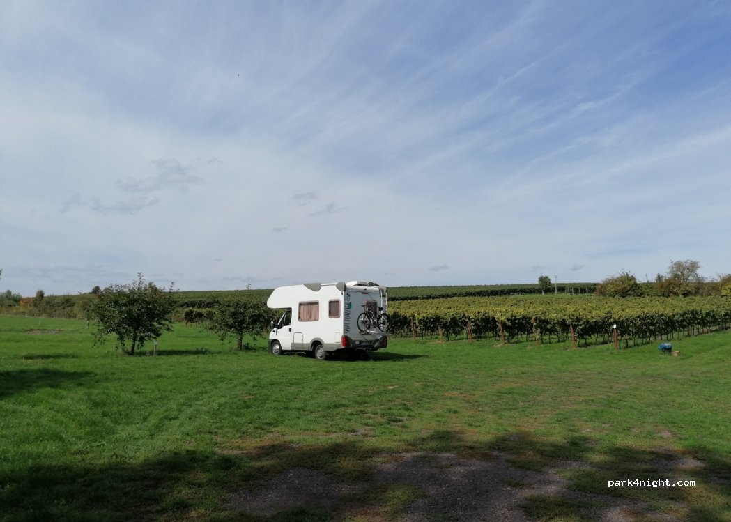 Weingut Junker — foto 2