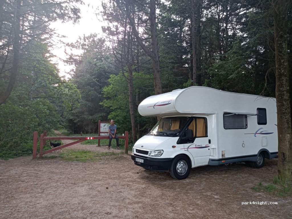 (9800) Hjørring - 208 Rubjergvej — foto 2