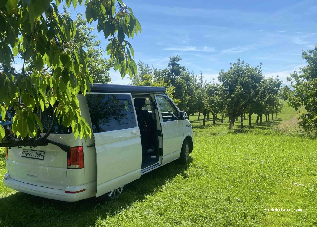 (8585) Langrickenbach - 12 Obergreut — foto 5
