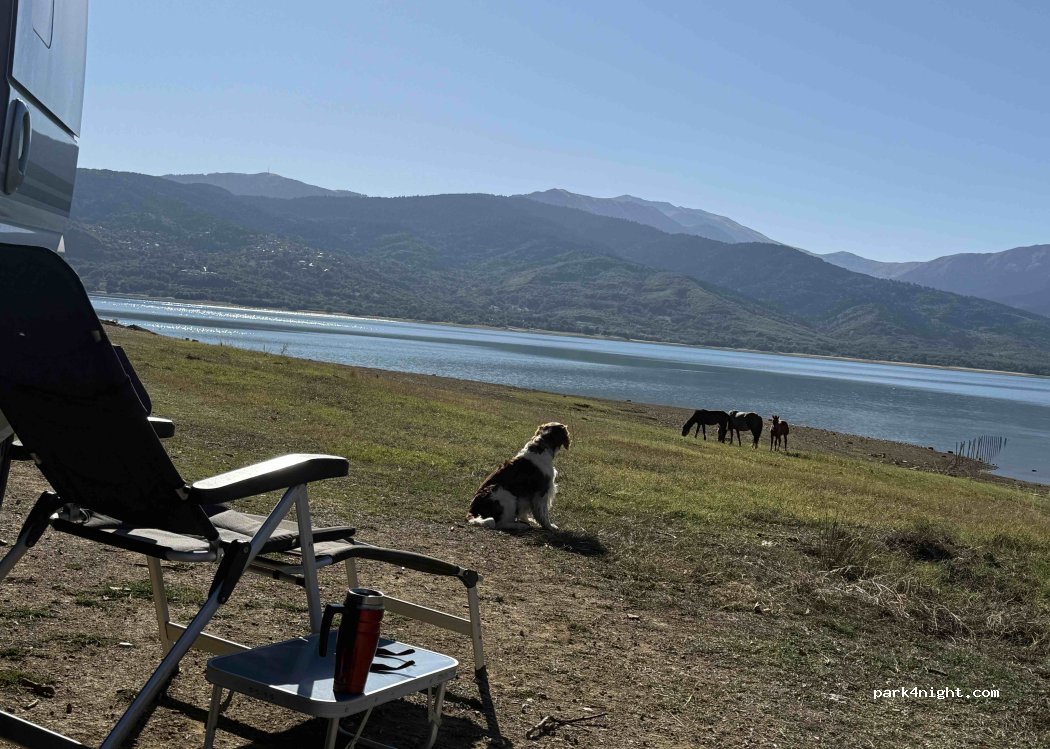 (431 00) Limni Plastira - Eparchiaki Odos Karditsas - Kastanias — foto 5