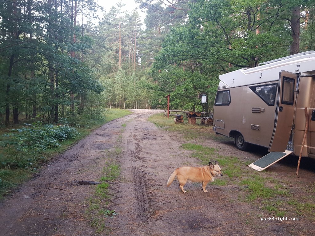 (12-230) Gietkie - Unnamed Road — foto